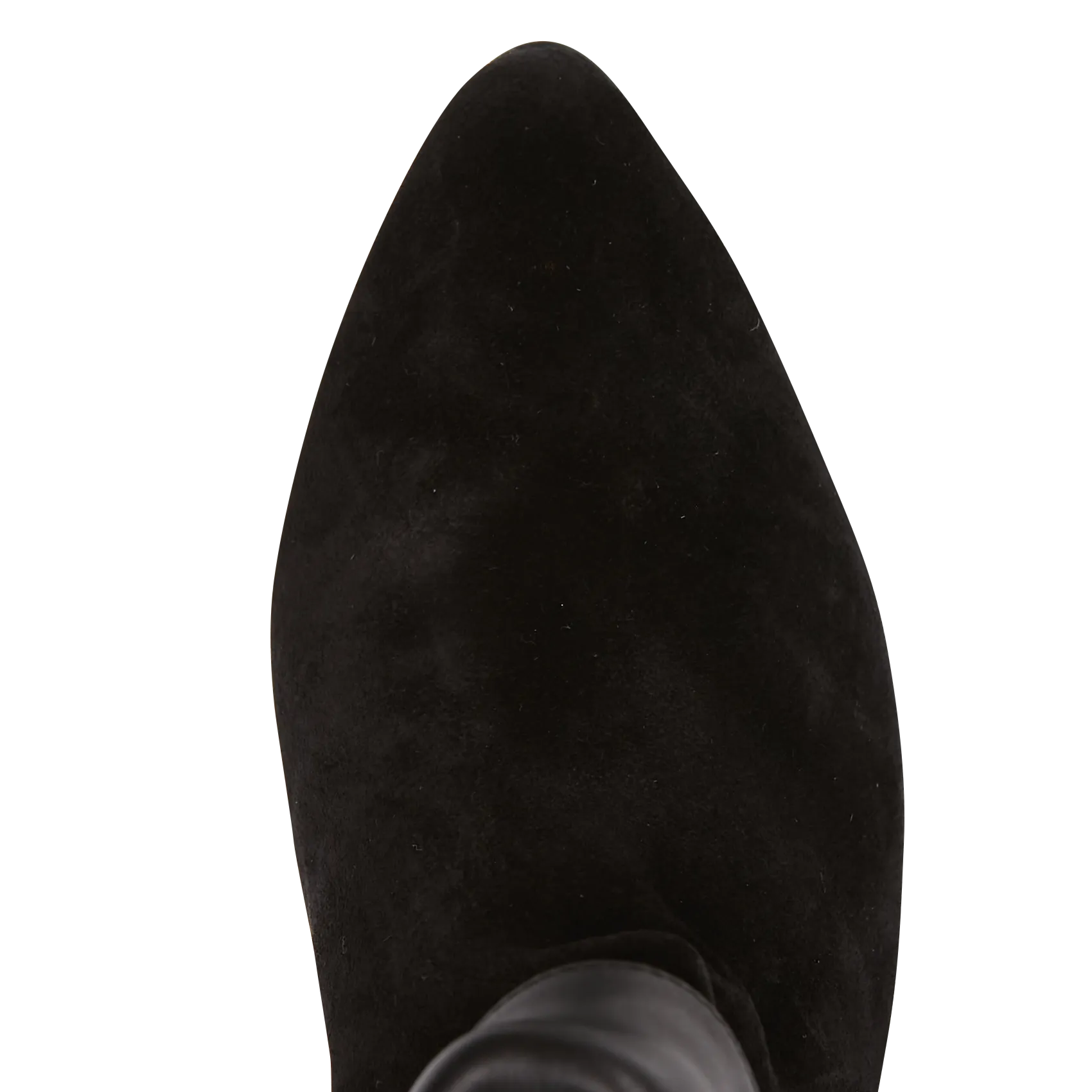  ANONYMOUS COPENHAGEN   EDEN 50 - Stivaletti in pelle | Nero