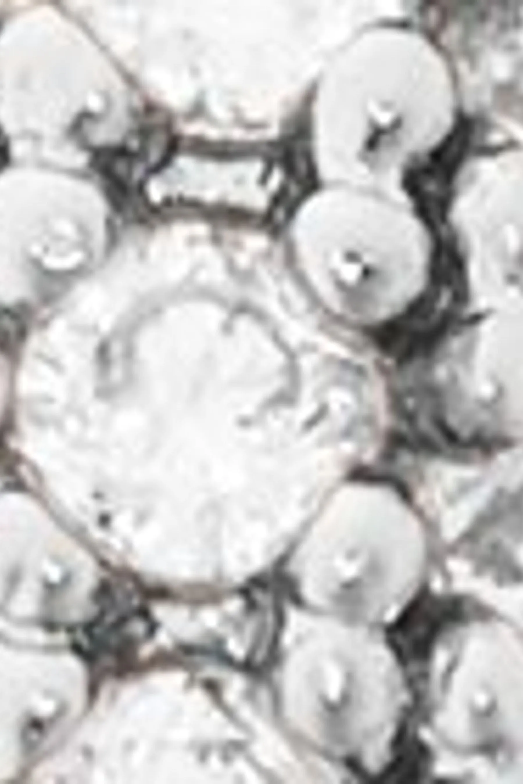 Kate Spade New York - Argento - Orecchini con scritta 