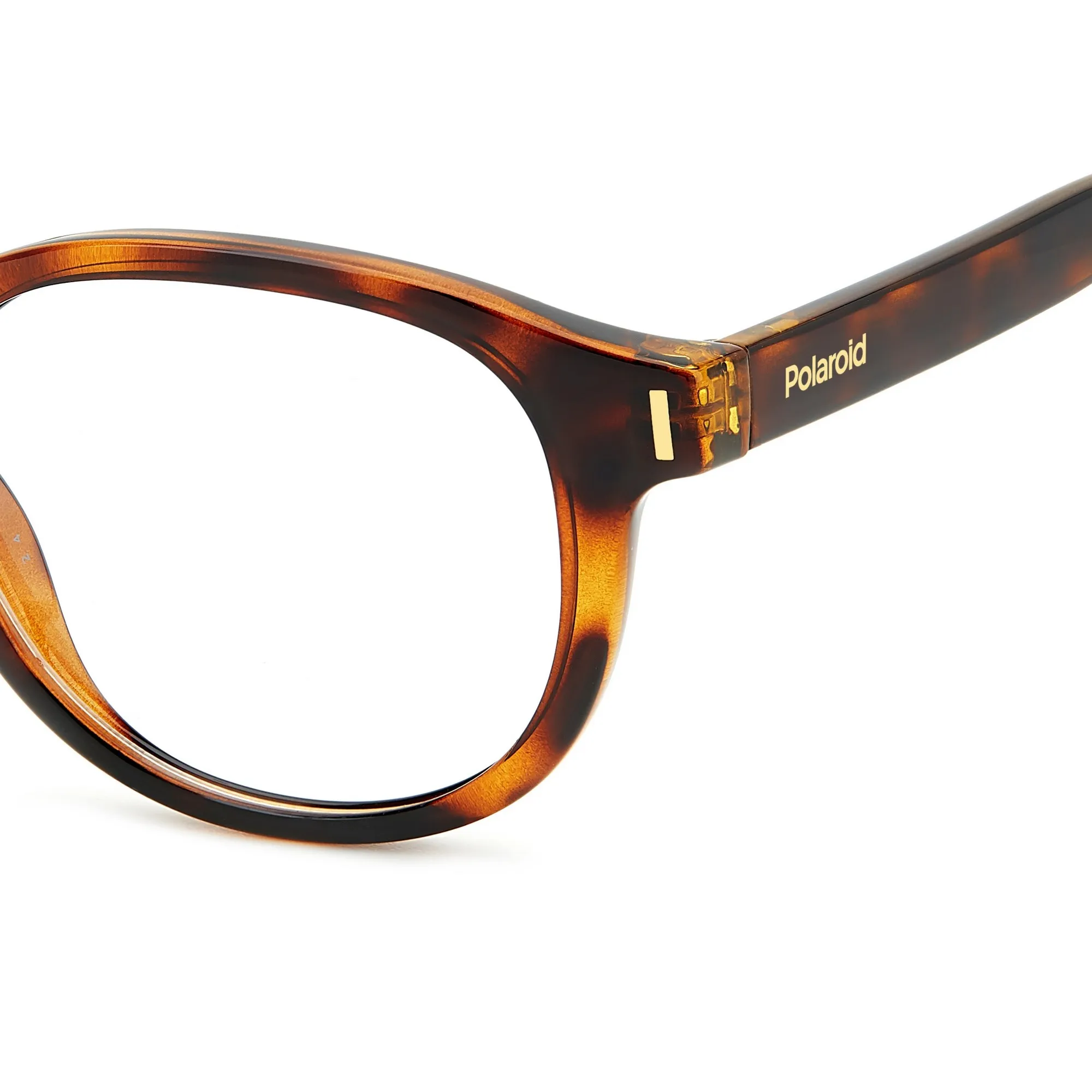  Polaroid PLD D452 - 086  L'avana | Occhiale Da Vista Unisex 
