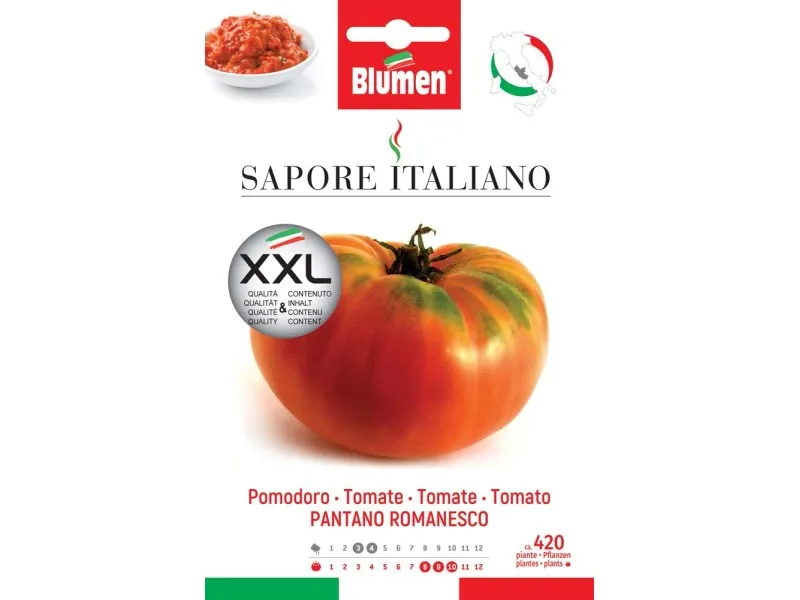 Semi Blumen Pomodoro pantano romanesco XXL