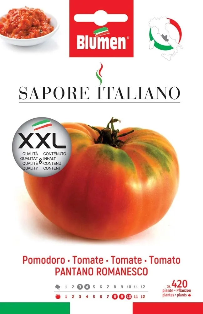 Semi Blumen Pomodoro pantano romanesco XXL
