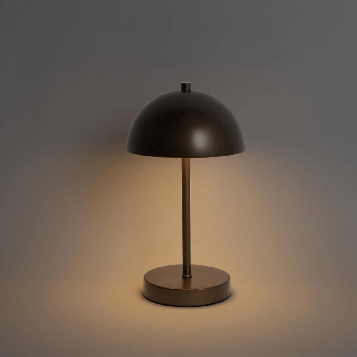 Set di 2 lampade da tavolo per esterni a fungo bronzo scuro ricaricabili - Keira