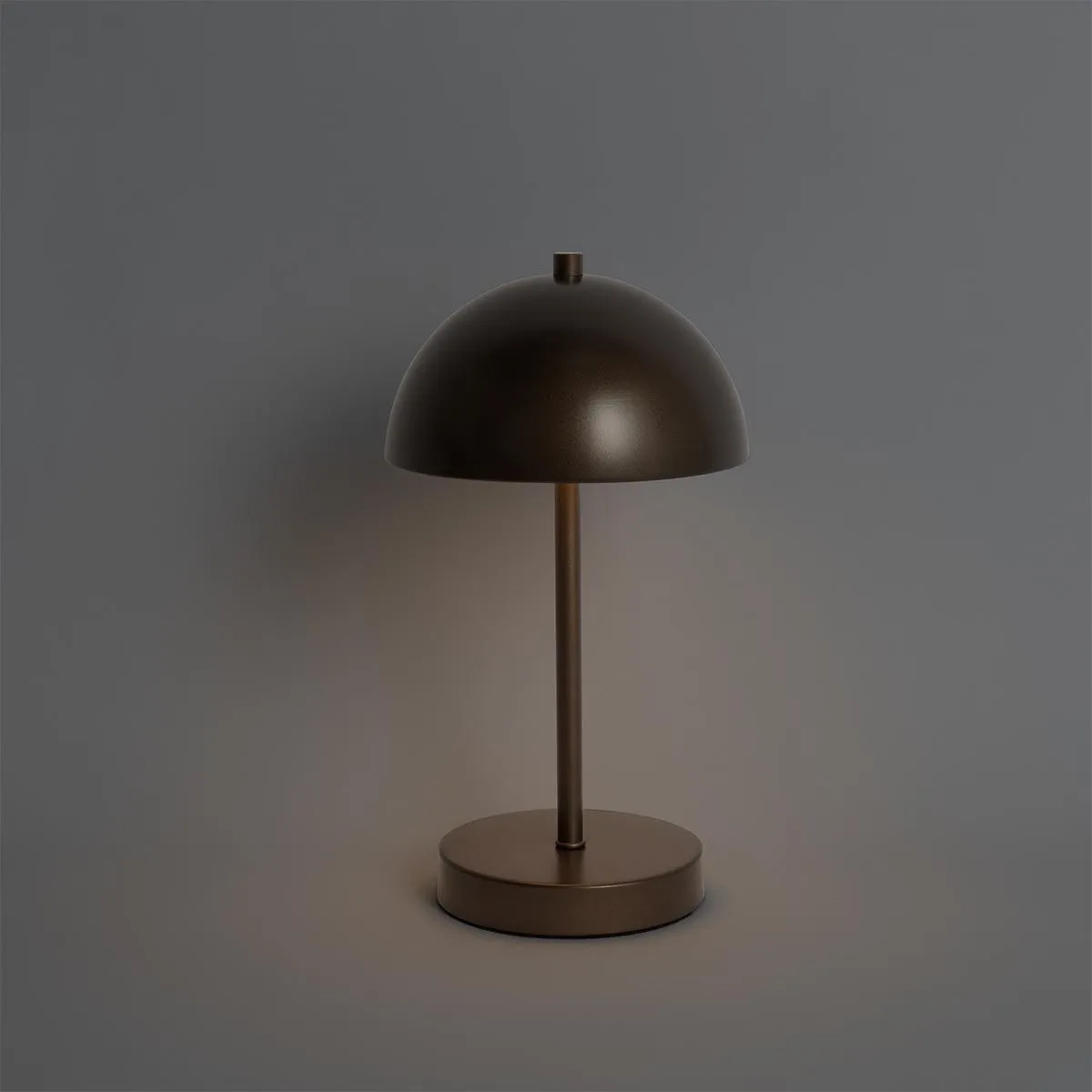 Set di 2 lampade da tavolo per esterni a fungo bronzo scuro ricaricabili - Keira