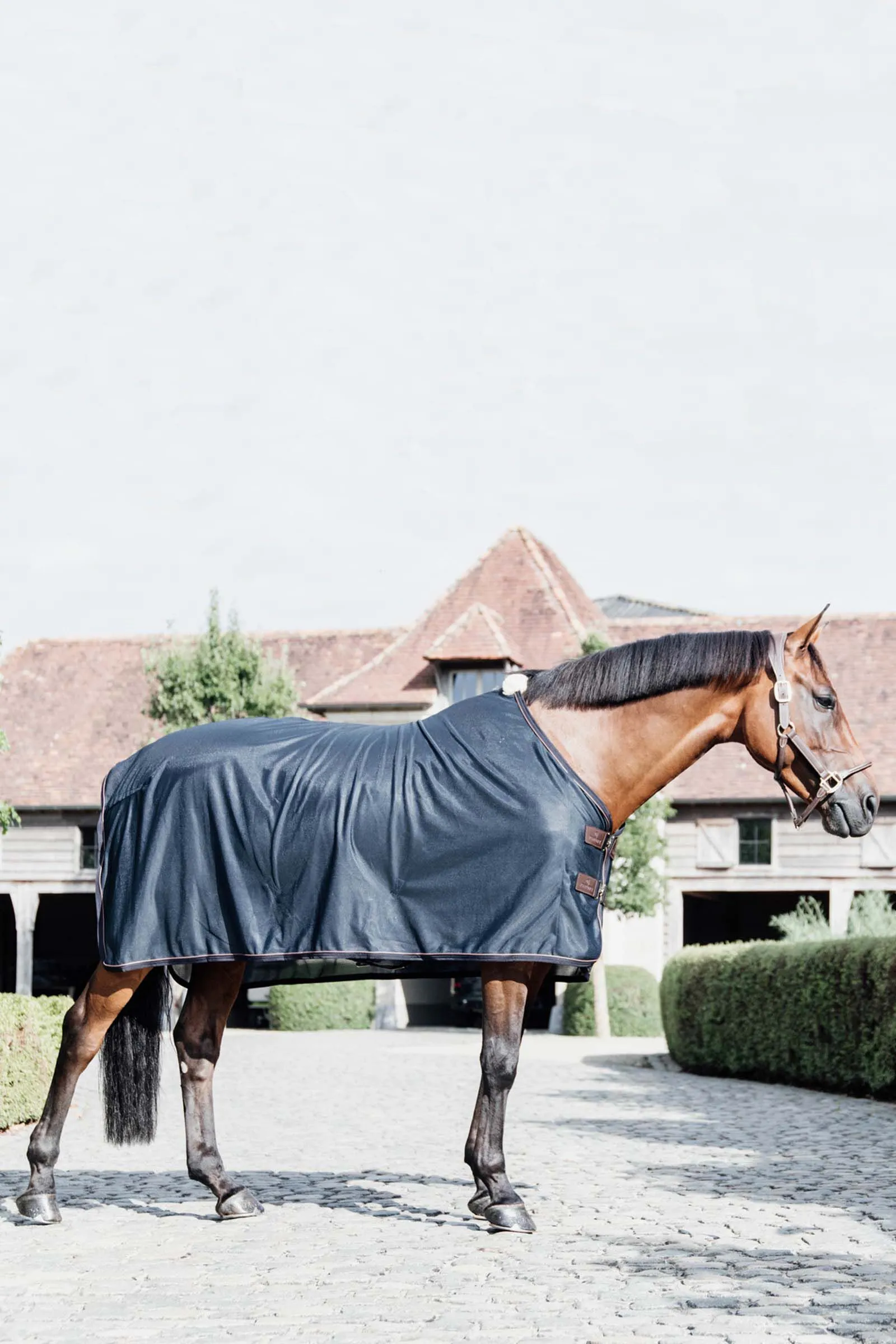 Telo antivento in rete Kentucky Horsewear