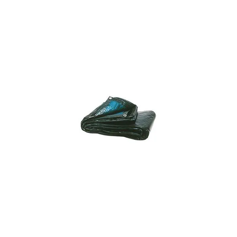 TELONE OCCHIELLATO SUPER PESANTE 10X12,Eur 192,93 